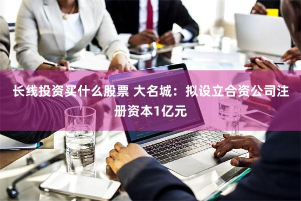 长线投资买什么股票 大名城：拟设立合资公司注册资本1亿元