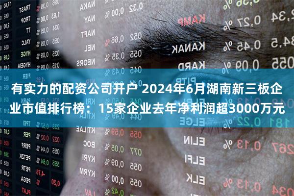 有实力的配资公司开户 2024年6月湖南新三板企业市值排行榜：15家企业去年净利润超3000万元