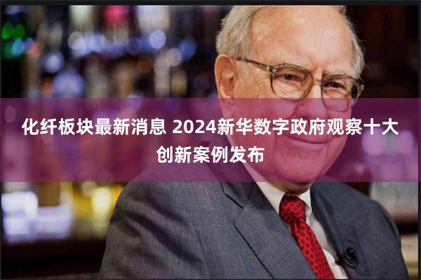 化纤板块最新消息 2024新华数字政府观察十大创新案例发布